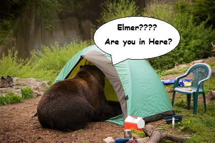 Yosemite Black Bear The Story of Elmer